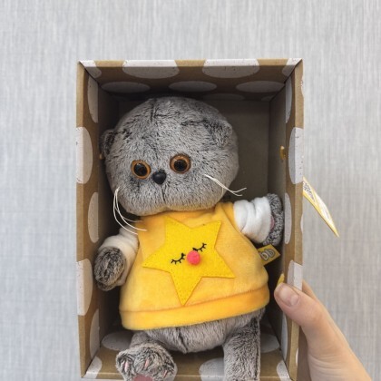 Басик BABY в толстовке со звездой