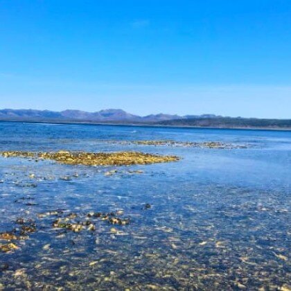 Озеро Буссе