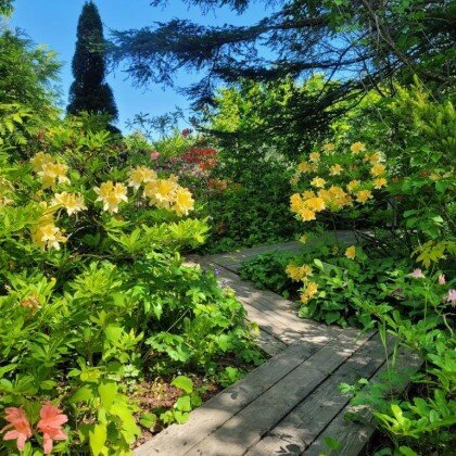 Экскурсия «Секреты зеленого царства»