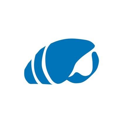 считаем ракушки