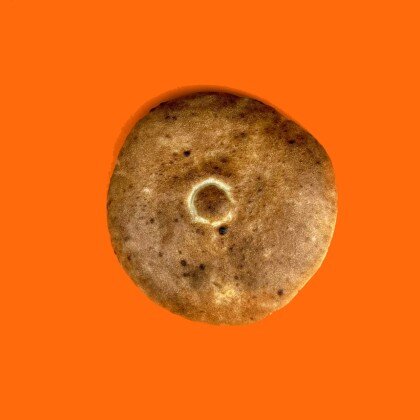 Лепешка целая