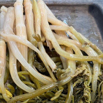 Бутень маринованный «Шушан»