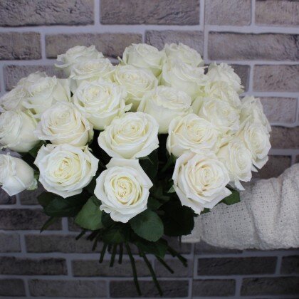 Букет из 25 белых Роз Эквадор ( пионовидные)