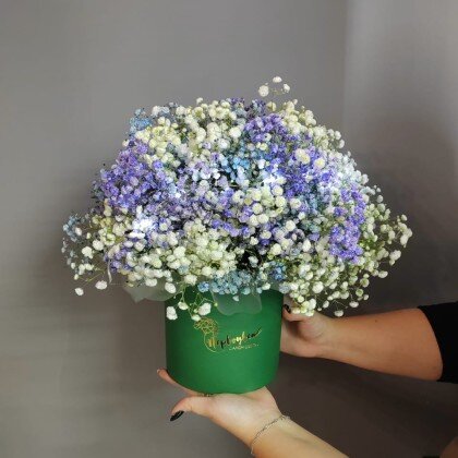 Коробочка с гипсофилой