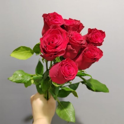 Букет из 7 Красных Роз