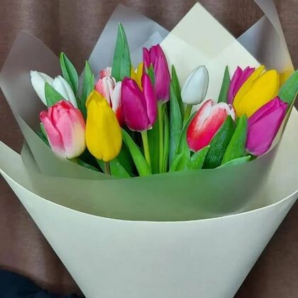Букет из 15 Тюльпанов.