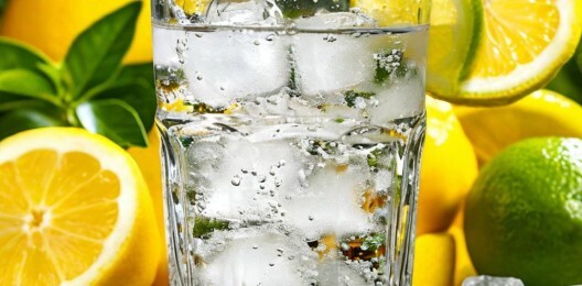 Лимон и лайм Fun up