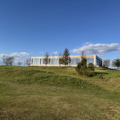 Игра в гольф