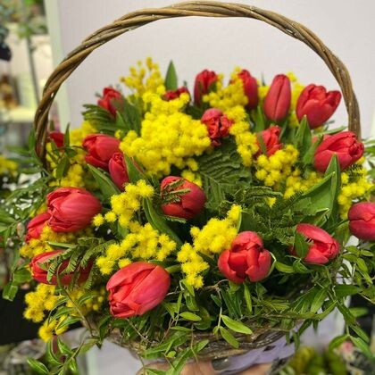 Корзинка с тюльпанами и солидаго