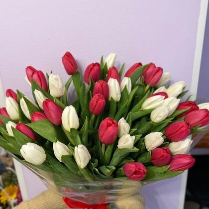 Букет из 35 красных и белых тюльпанов