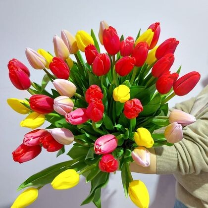 Букет из 47 Тюльпанов Микс