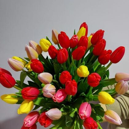 Букет из 49 Тюльпанов