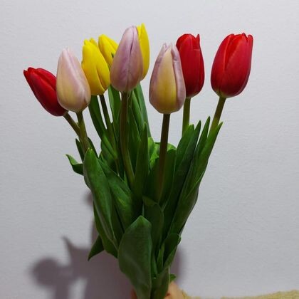 Букет из 9 Тюльпанов