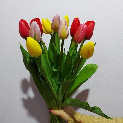 Букет из 15 Тюльпанов