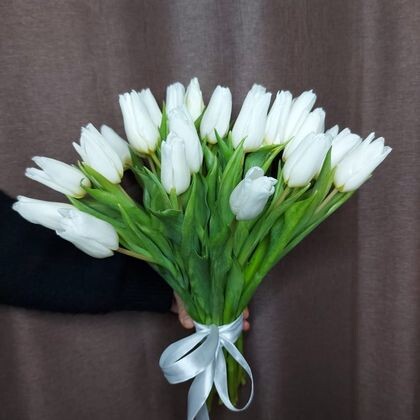 Букет из 21 Белого Тюльпана