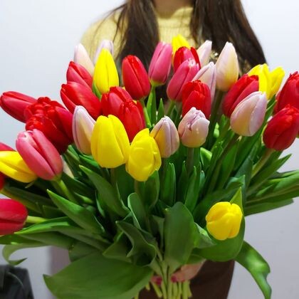 Букет из 55 Тюльпанов Микс