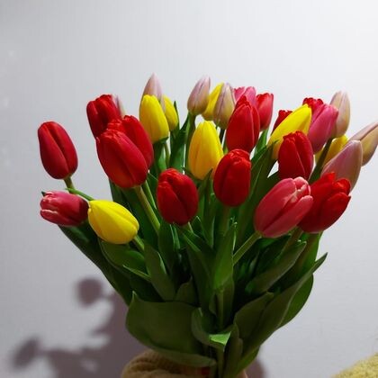 Букет из 27 Тюльпанов