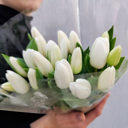 Белые тюльпаны