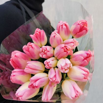 Розовые тюльпаны