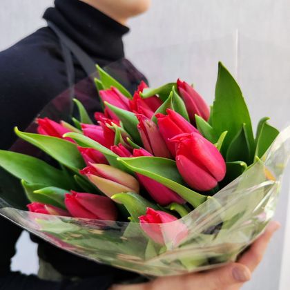 Малиновые тюльпаны