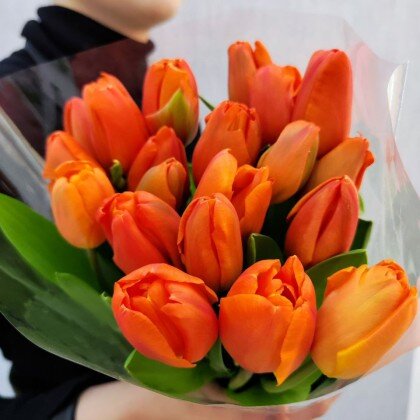 Оранжевые тюльпаны