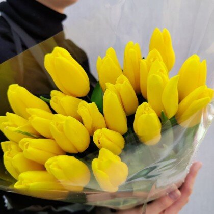 Желтые тюльпаны