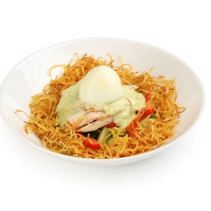 Гнездо дрозда