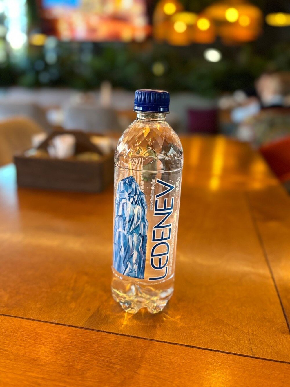 Вода негаз 0,5 л