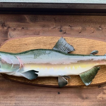 Чучело Горбуши №2