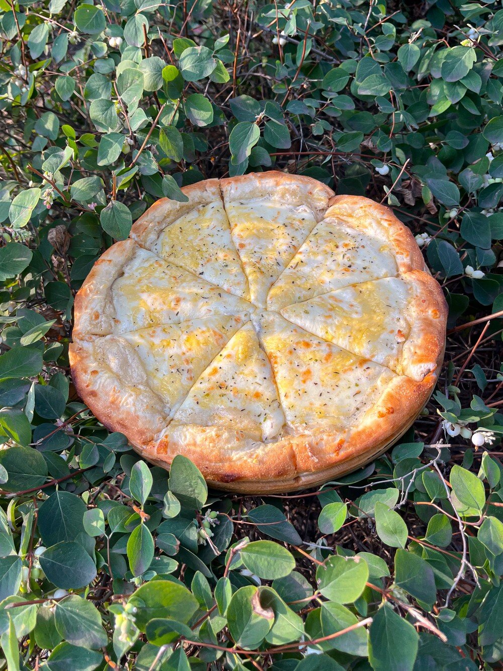 Пицца Сырная