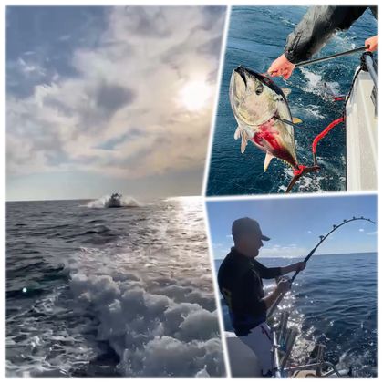 Охота за тунцом