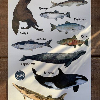 Стикерпак Морской мир 008