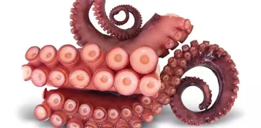 Щупальца осьминога варено-мороженные