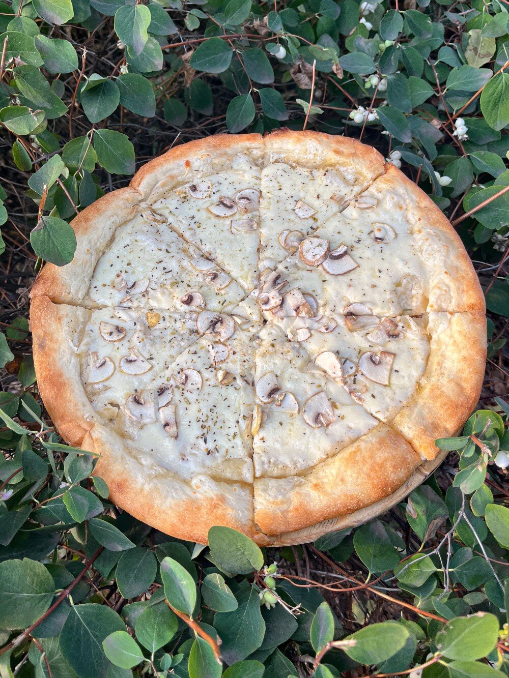 Пицца Грибная