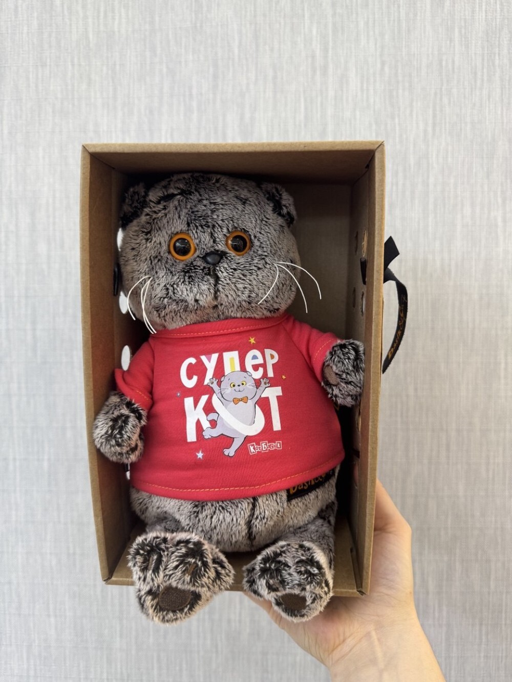 Басик в лонгсливе с принтом "Супер кот"