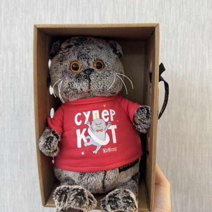 Басик в лонгсливе с принтом "Супер кот"