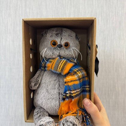 Басик и шарф в клеточку