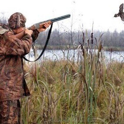 Охота на утку