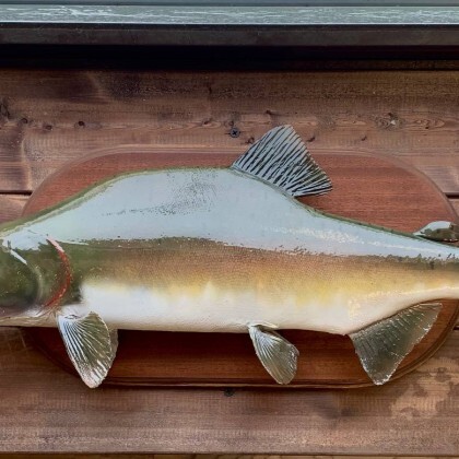 Чучело Горбуши №3