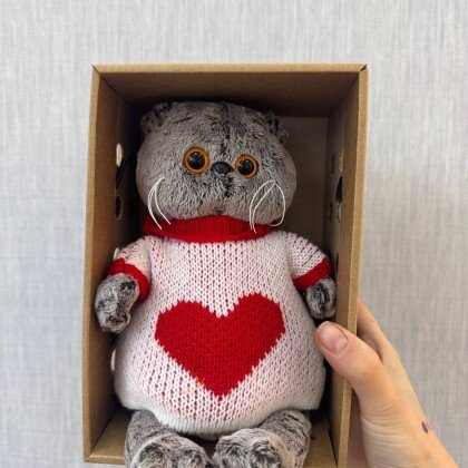 Басик в свитере с сердцем