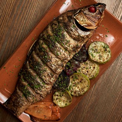 Сазан "Речной великан"