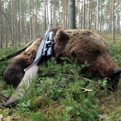 Охота на медведя