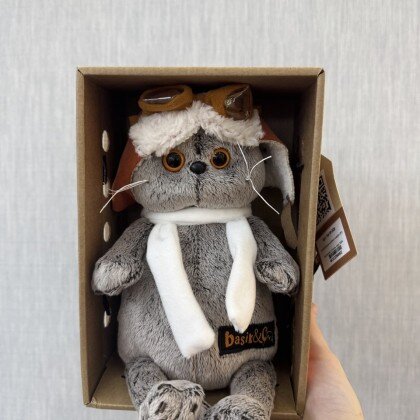 Басик в шлеме и шарфе (B1)