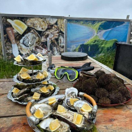 Устричная банка на озере Буссе