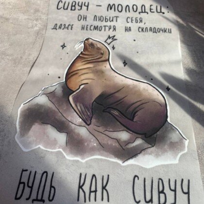 Термонаклейка Сивуч-молодец 003